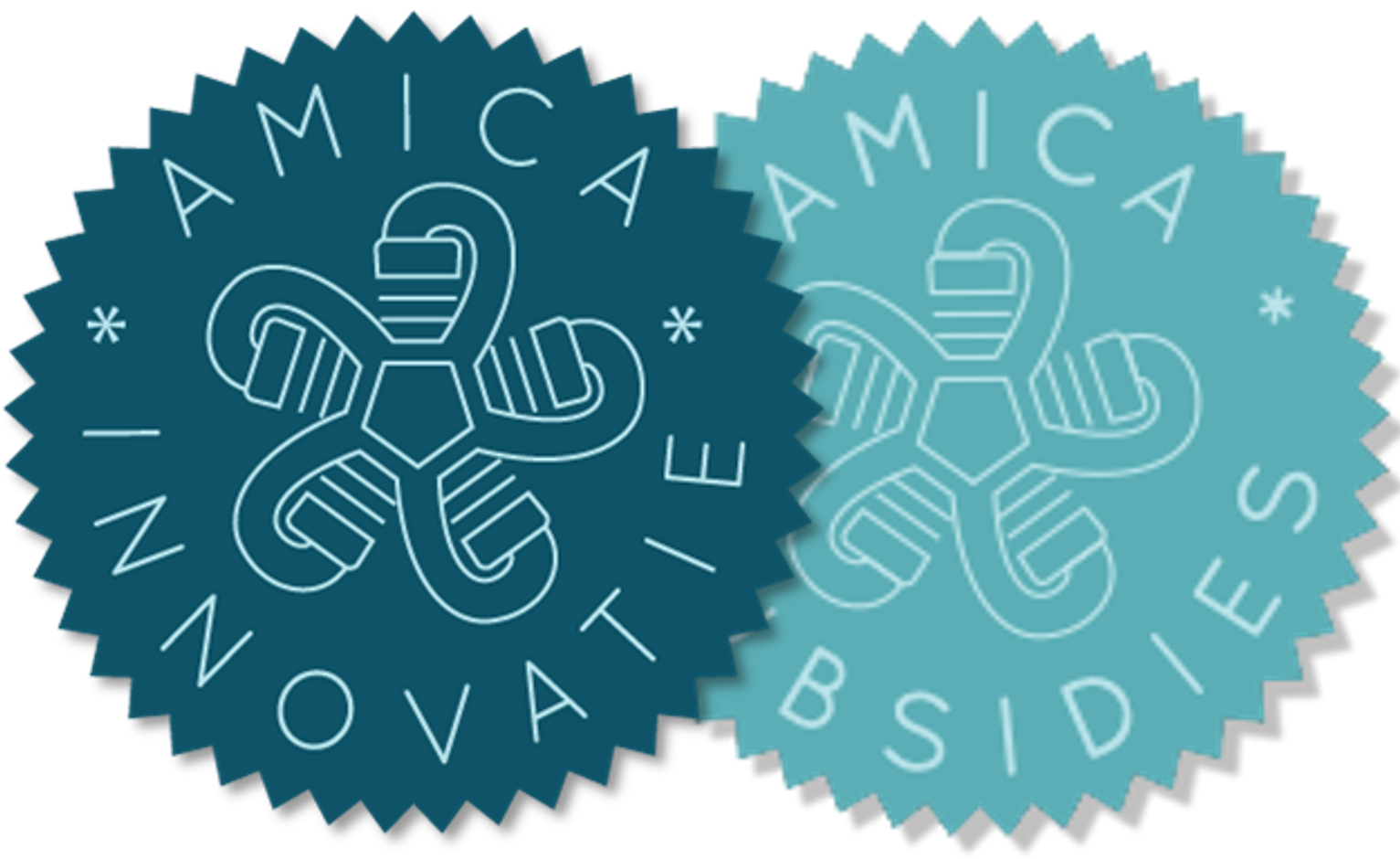 AMICA INNOVATIE